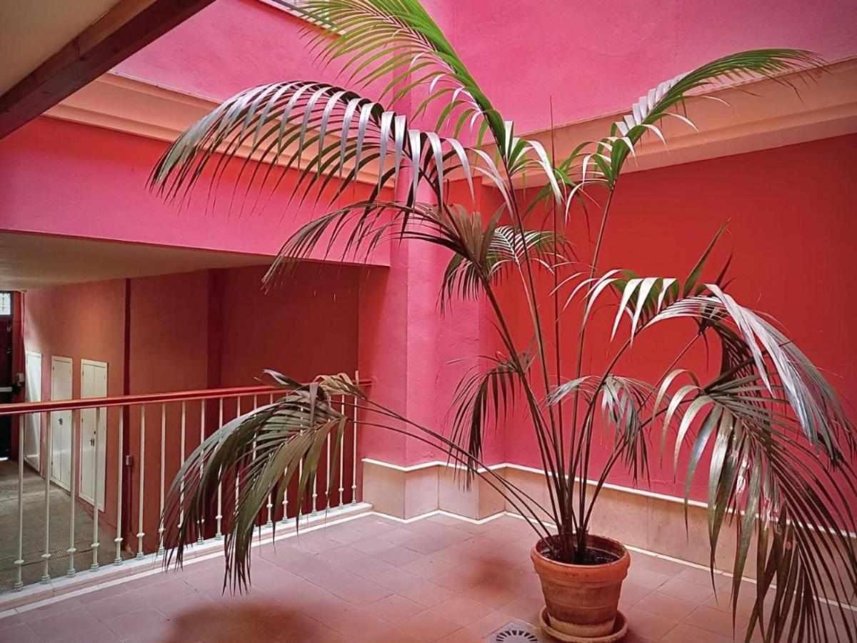 Apartamento Sauceda 7 Севиля Екстериор снимка